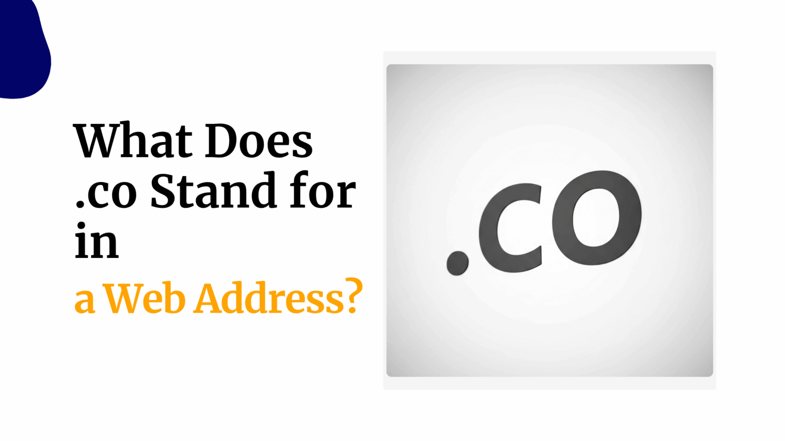 what does co stand for in a web address