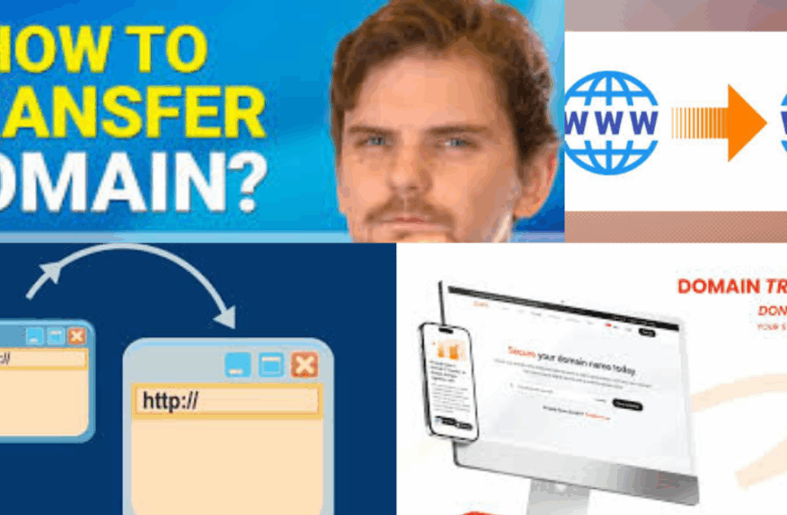 How to Transfer a Domain Name to a New Hosting Provider