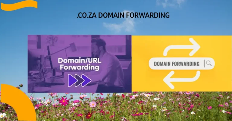 domain forwarding